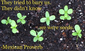 4814318062_a58a092706_b